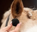 SMART GROOMING EQUI-PLUGS
